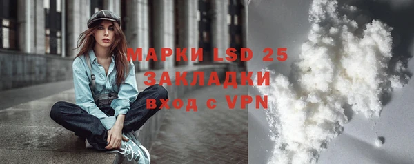 мдпв Новозыбков