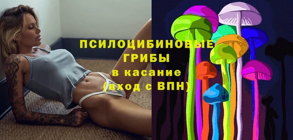 дурь Абдулино